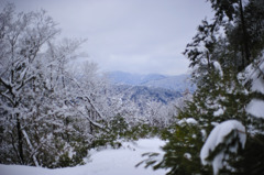 雪山ワンダーランド