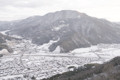 町の守り神（白）