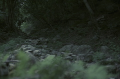 迷いの山路