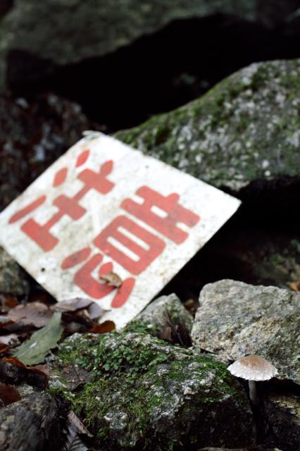 注意すべきは・・