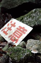 注意すべきは・・