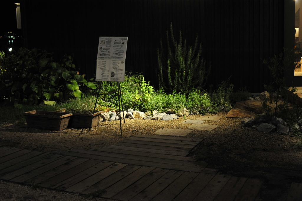 Nightでも