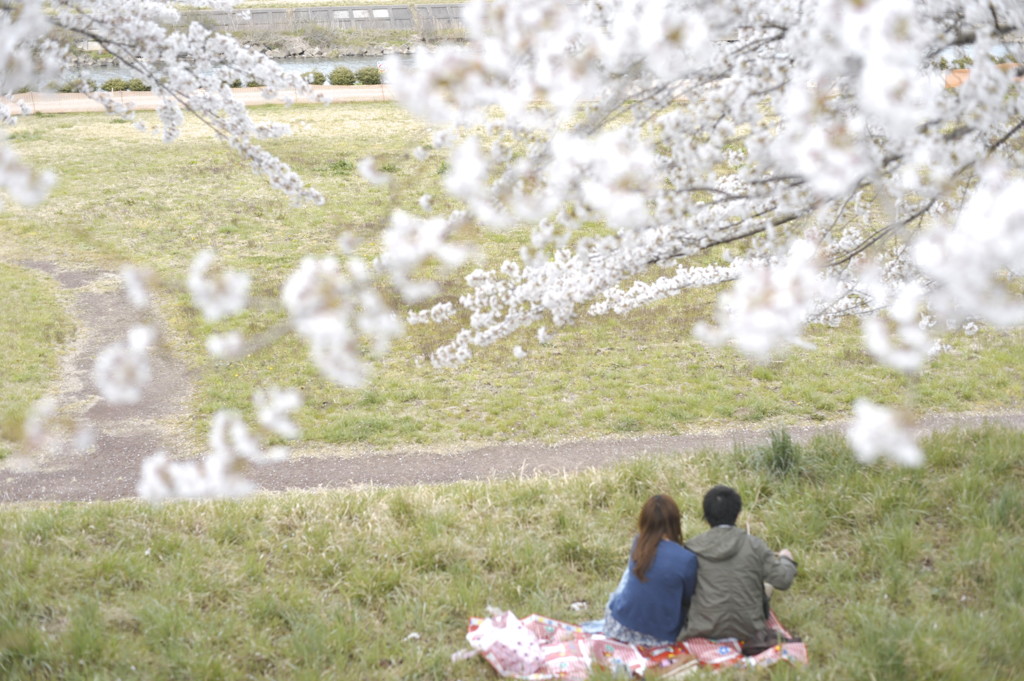 みえた光、現実。～宮城～