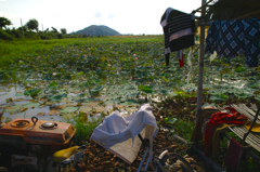 蓮農家での日暮れ