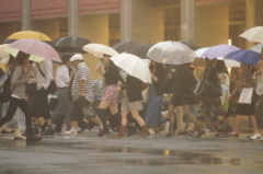 Cross road～雨～