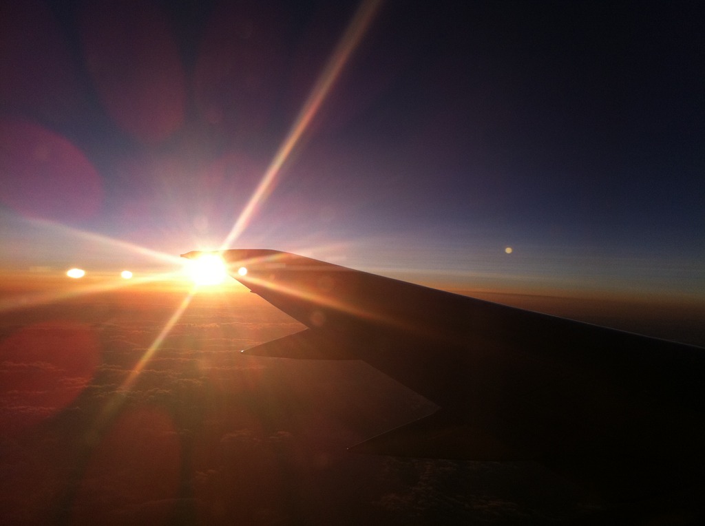 空の向日葵