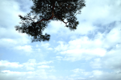 空の大陸