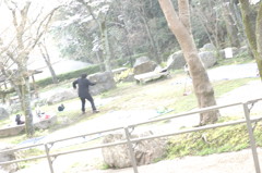 未知との遭遇４