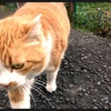 目指すはひとつ