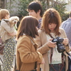 春の犬心