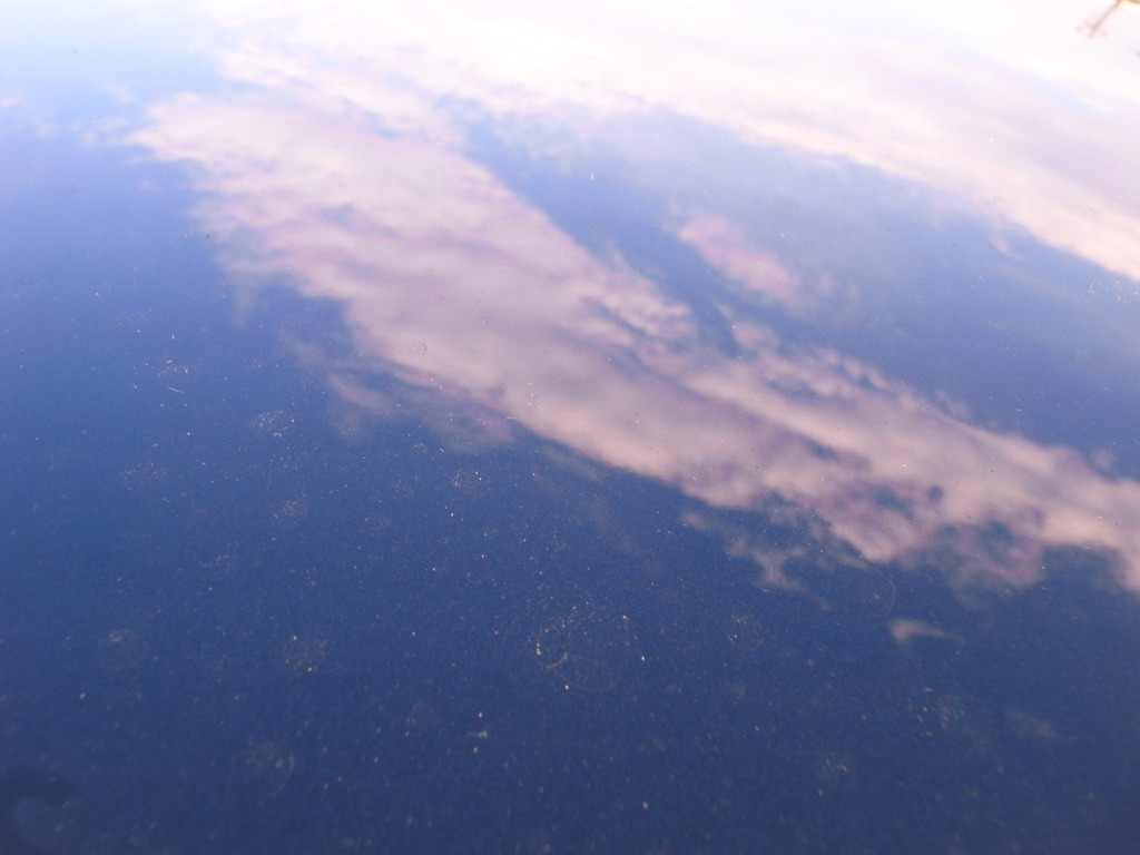 それでも空は青
