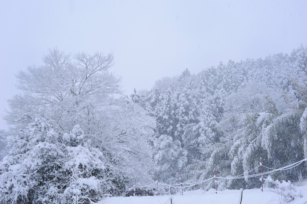 雪山様