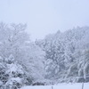 雪山様