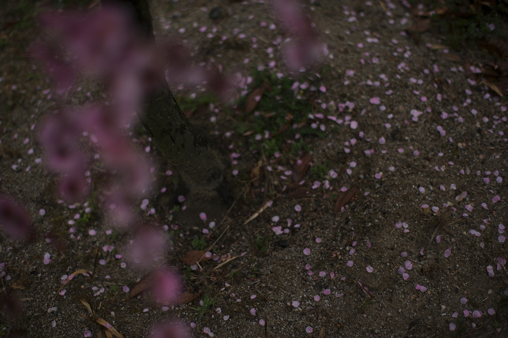 春空～夜～