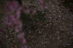 春空～夜～