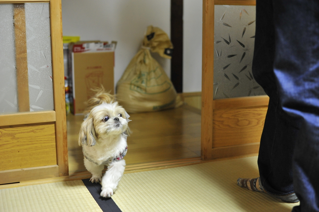 初・顔合わせ