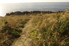 海へ続く道１