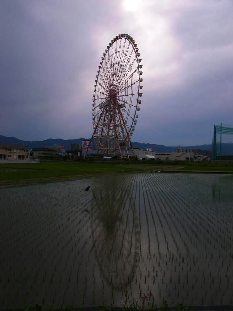 在る思い出