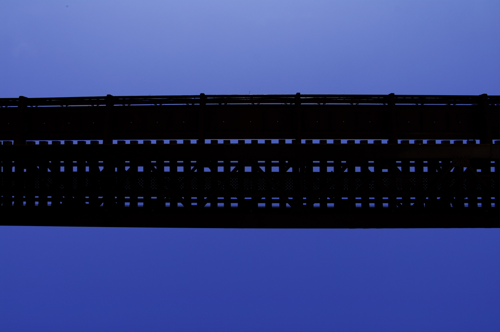 THE　BLUE　LINE