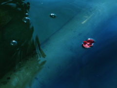 浮船