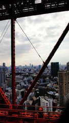 冬