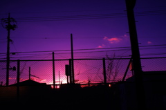MAGIC SKY