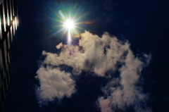 morning sun
