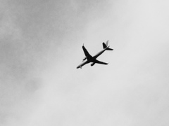 flight
