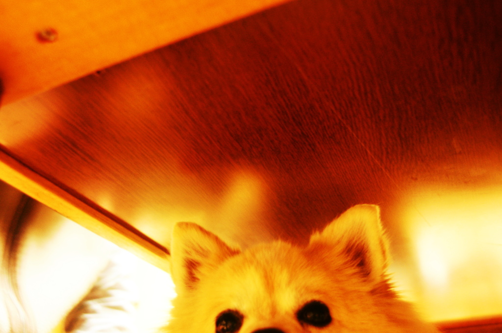 チラっ