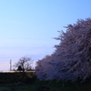 会社帰りの風景