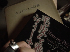 最近の愛読書