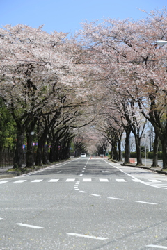 4U0A5087
