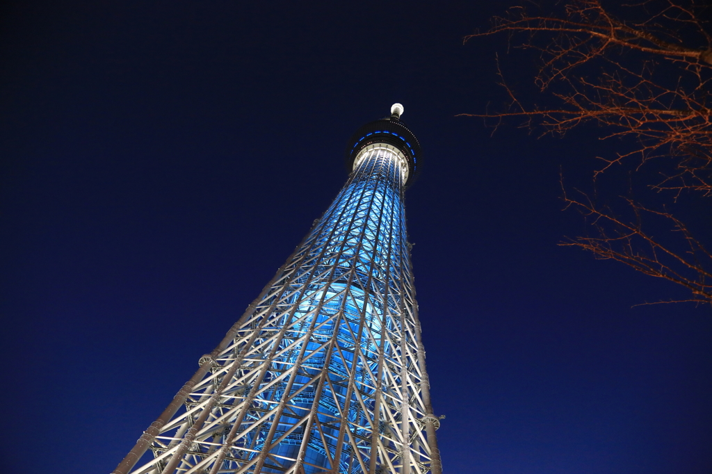 4U0A0259