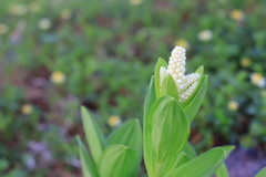 159A1373