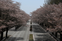 4U0A5065