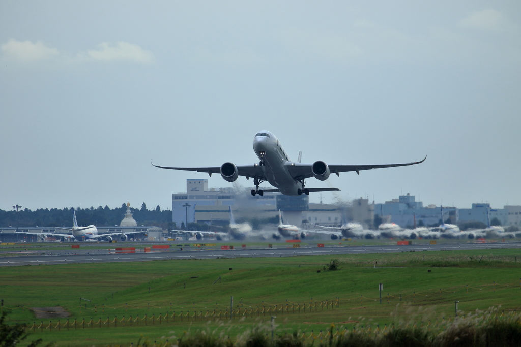 1I4A4255#2