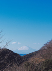 富士