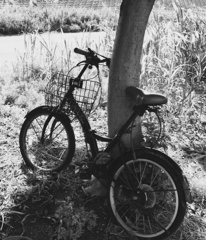 自転車
