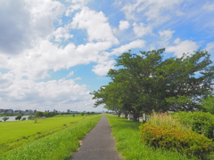 江戸川