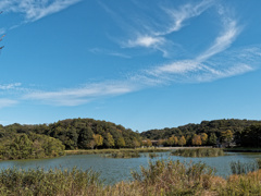 池