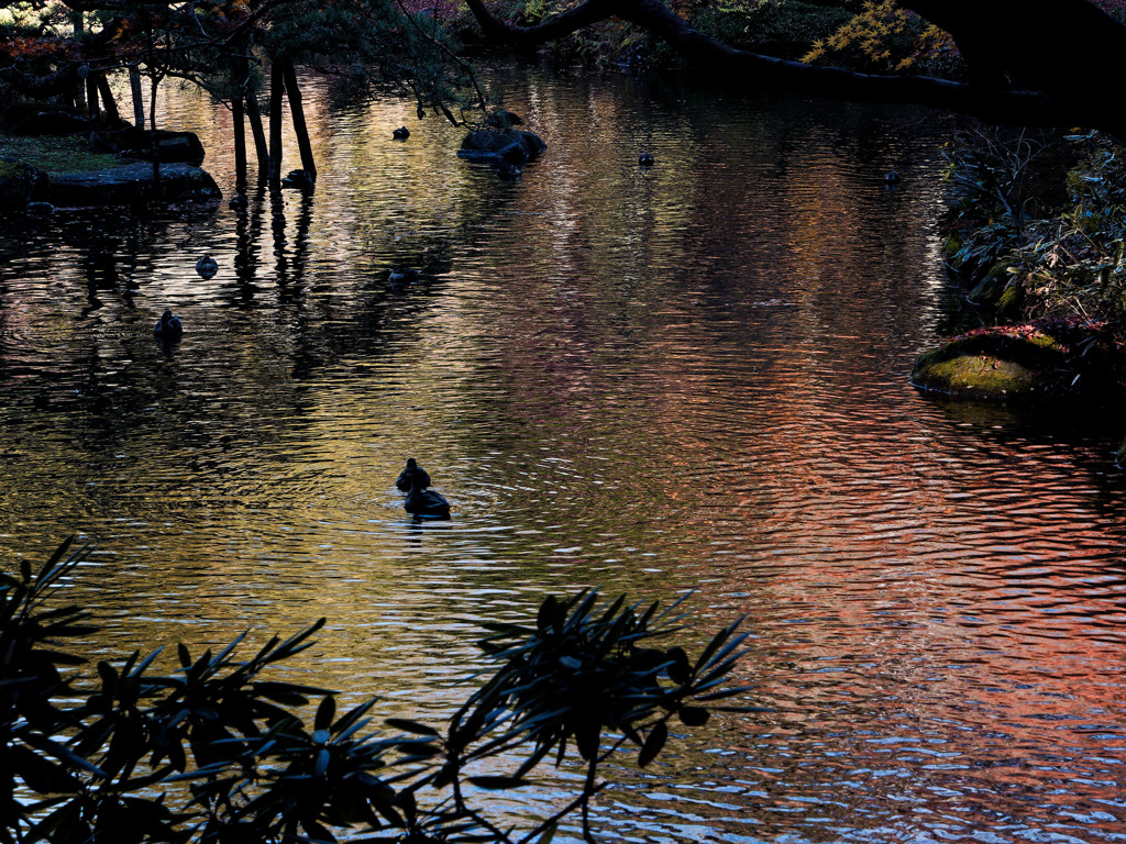庭園