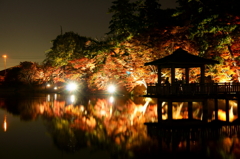 紅葉