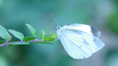 P1070316
