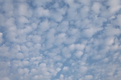 秋空