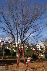 公園にひとり
