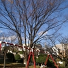 公園にひとり