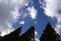空を見上げて４