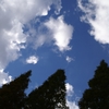 空を見上げて４