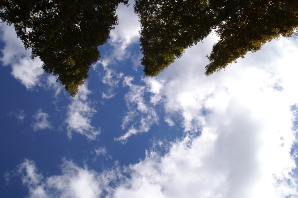 空を見上げて２