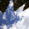 空を見上げて２